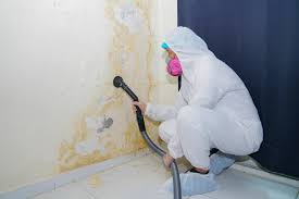 Best Mold Damage Restoration  in North Amityville, NY